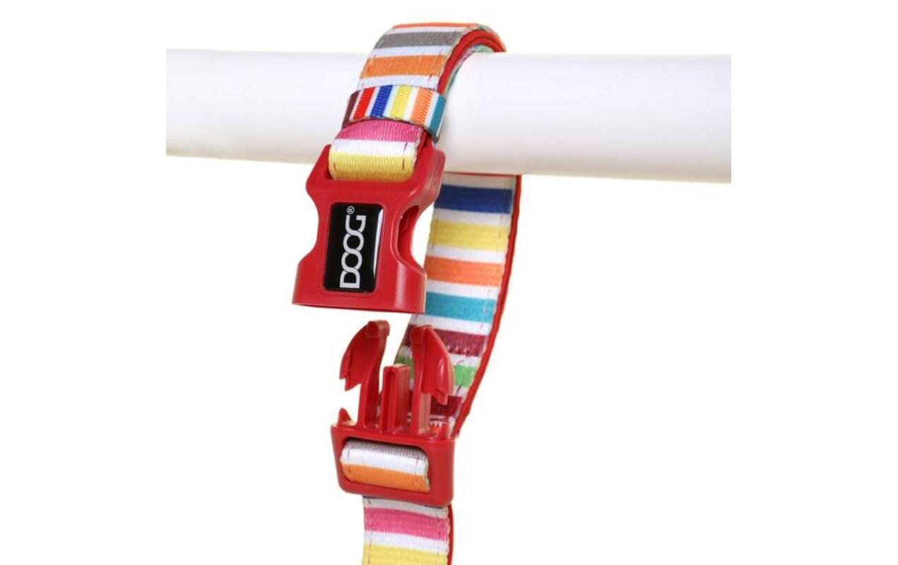Halsband Scooby XS Multicolor gestreiftLeichtes Hundehalsband aus Neopren