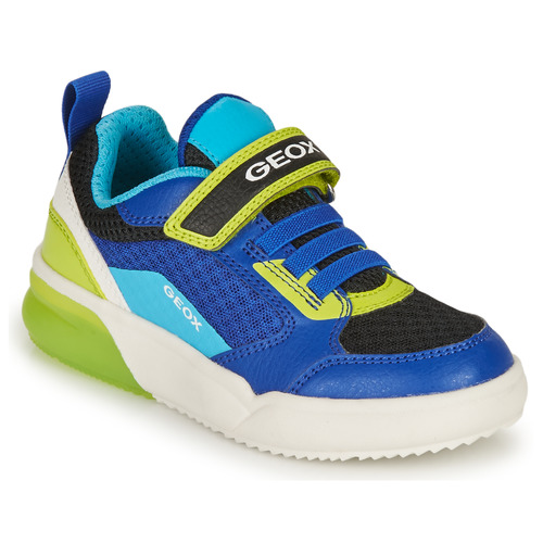 Geox - GRAYJAY BOY - Bleu / Lime