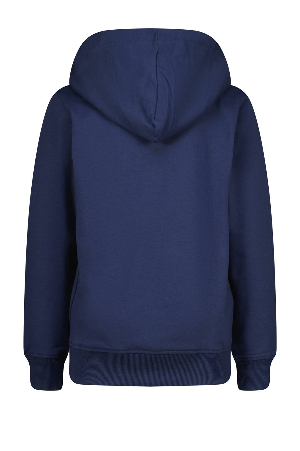 Raizzed hoodie Neor met logo donkerblauw