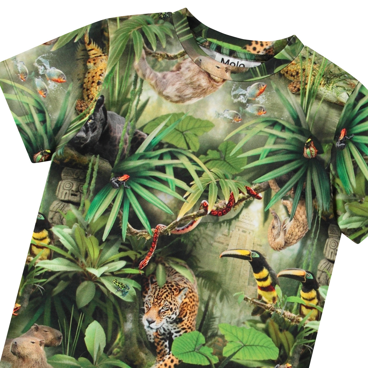 Ralphie - Jungle Animals