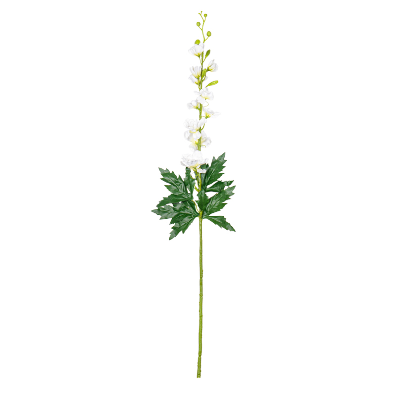 Branche de delphinium blanche et verte