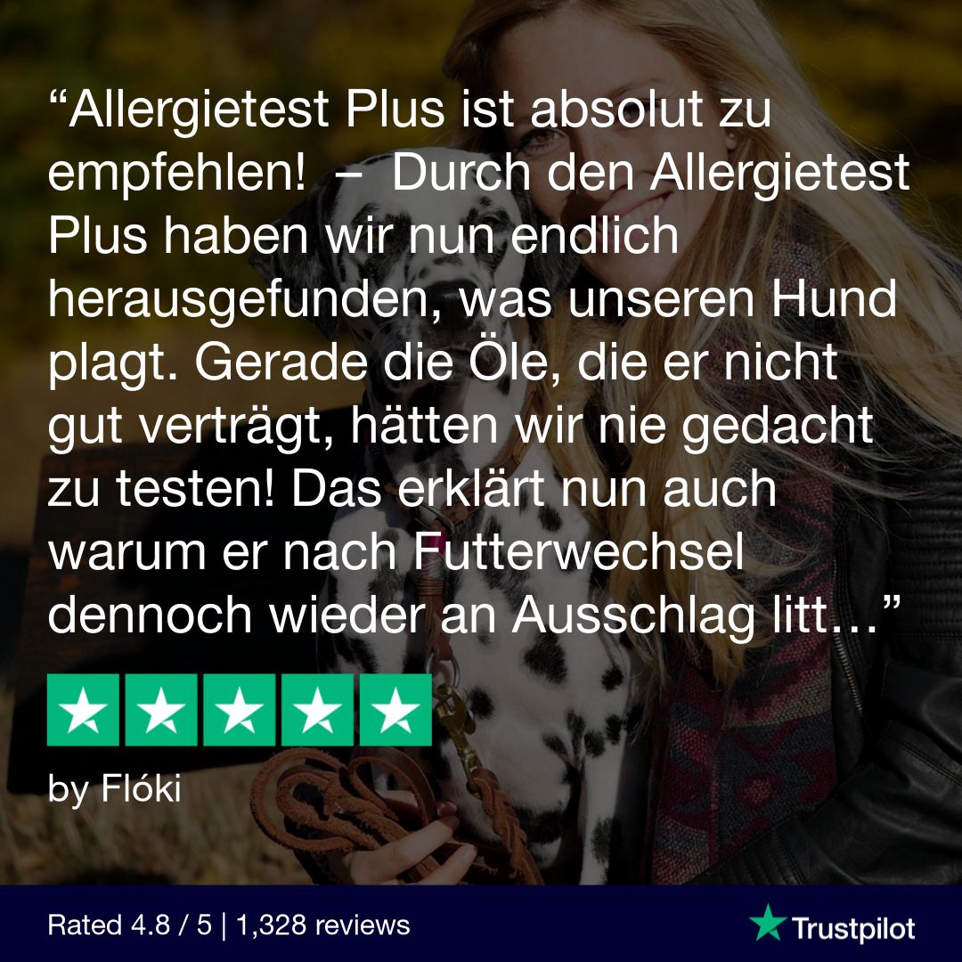 Allergietest Katze