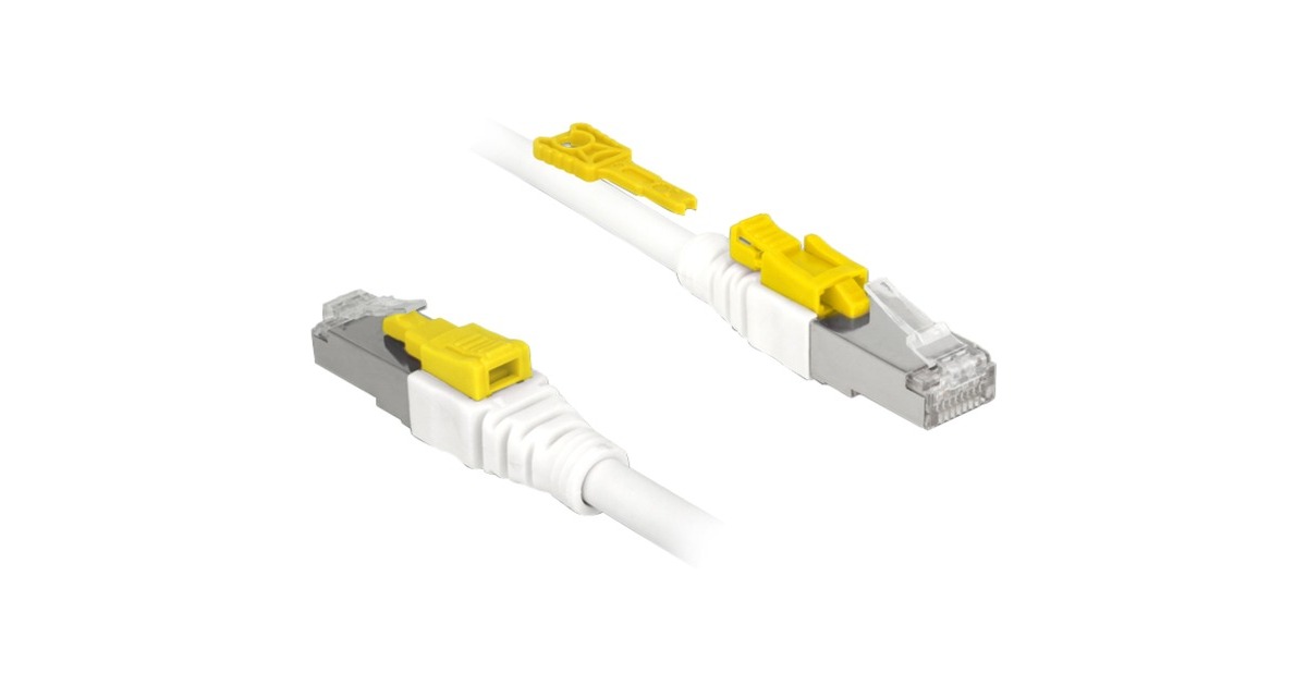 DeLOCKPatchkabel RJ-45 Secure met Cat.6a  (Wit, 85331, 1 meter)