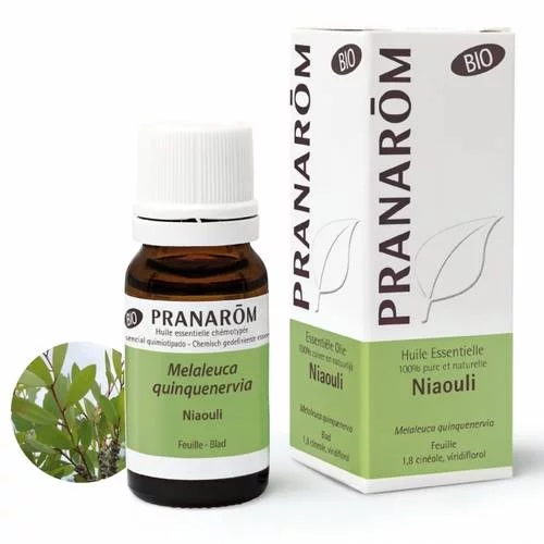 Niaouli - 10 ml Feuille Bio
