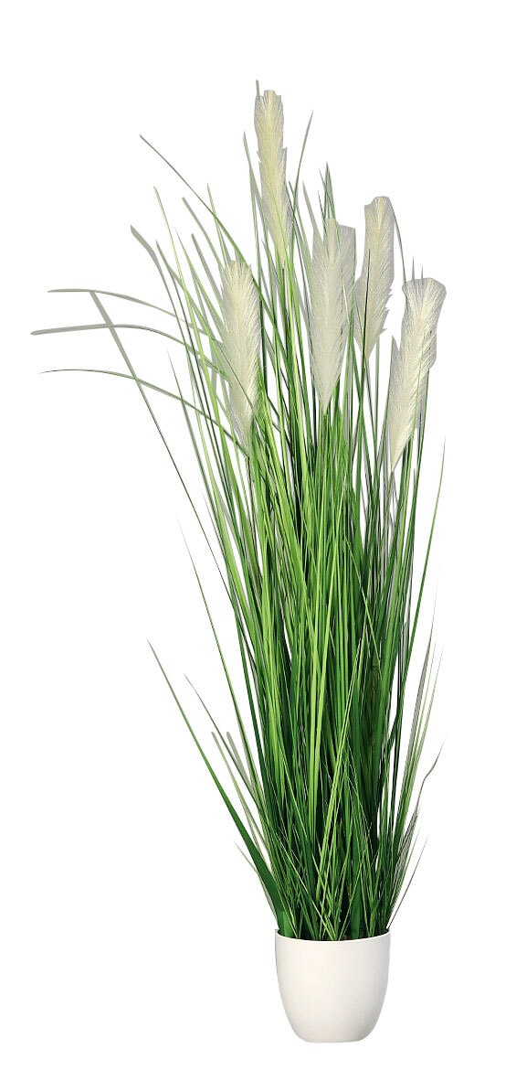 Grasarrangement 100 cm hoch