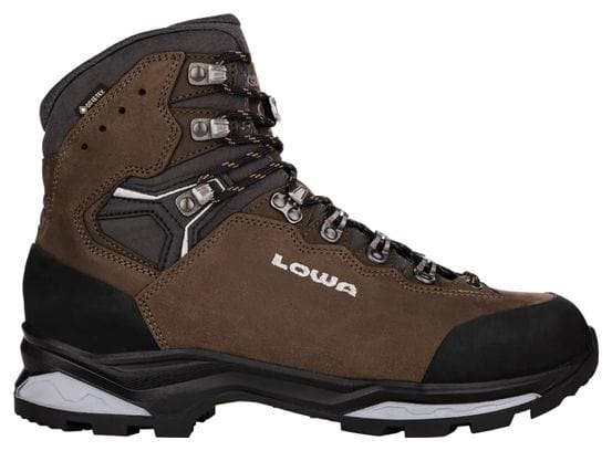 Chaussure de randonnée Lowa Camino Evo GTX Brun Homme