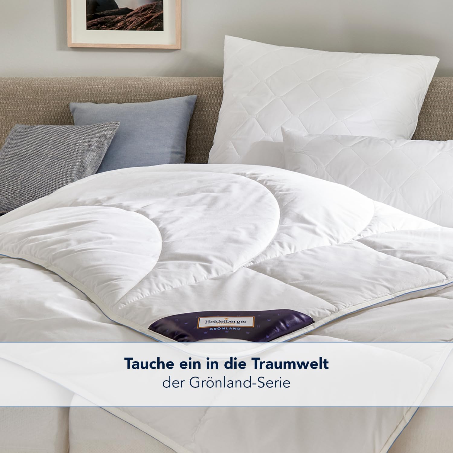 Premium Decke und Kissen, Grönland, Ganzjahresdecke 240x220 cm + 2X Kopfkissen 80x40 cm, Schlafdecke mit Körperzonen-Steppung atmungsaktiv, hautfreundlich, hypoallergen