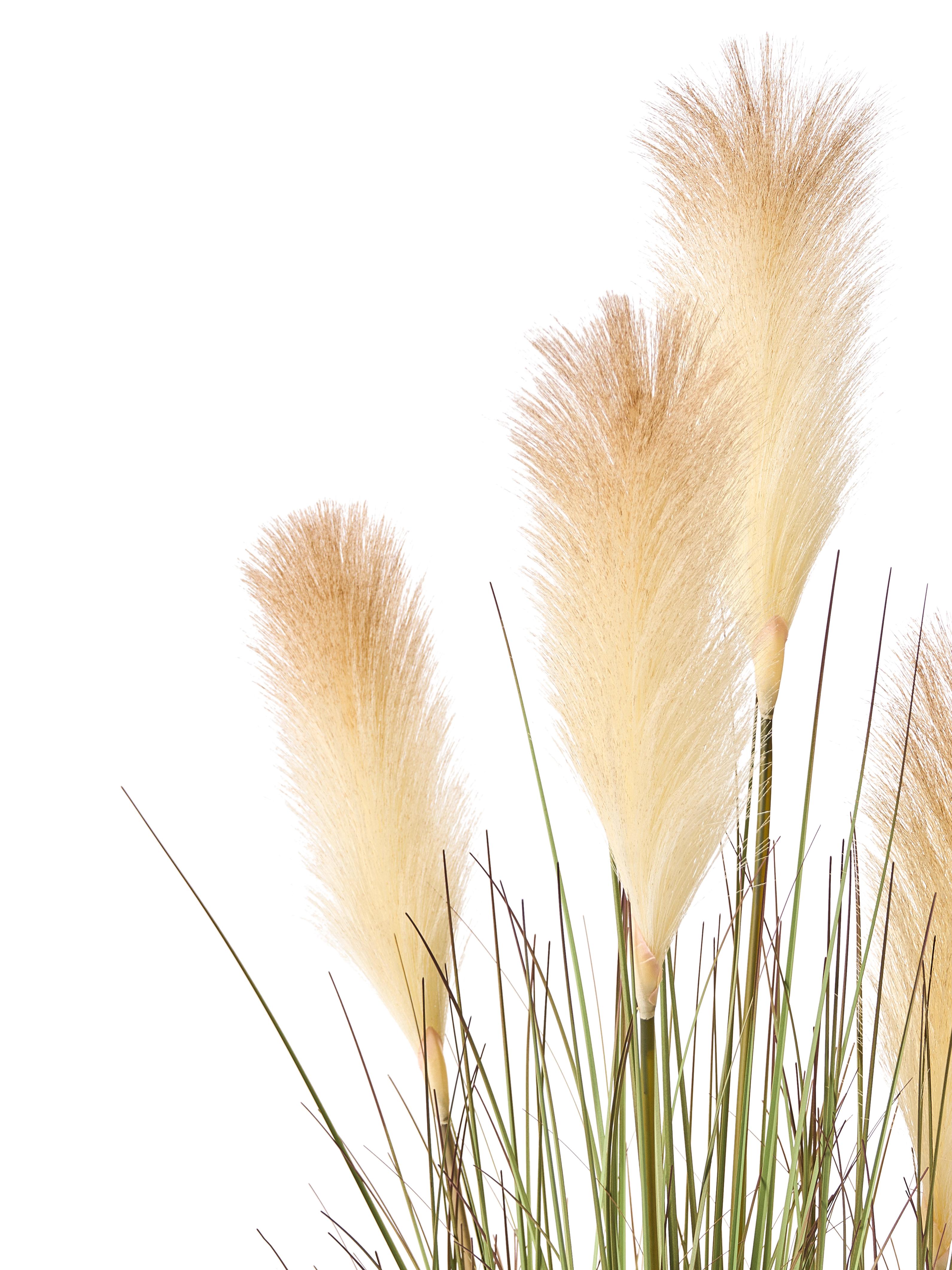 Kunstplant PAMPAS GRASS 120 cm Groen