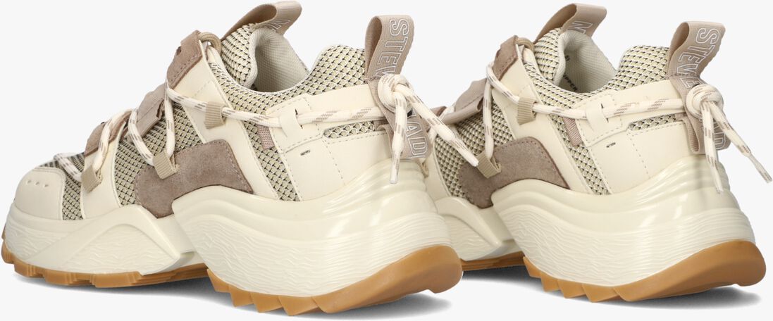 STEVE MADDEN bruine steve madden lage sneakers tazmania