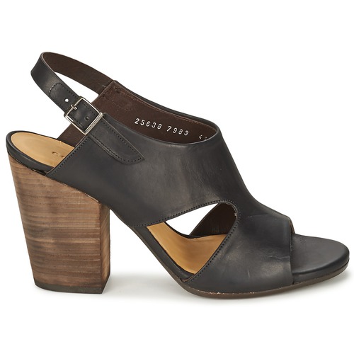 Coclico - CASPAR Negro