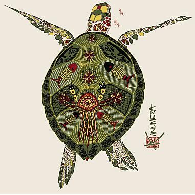 KANUMERA - T-SHIRT ORIGINE TORTUE HOMME