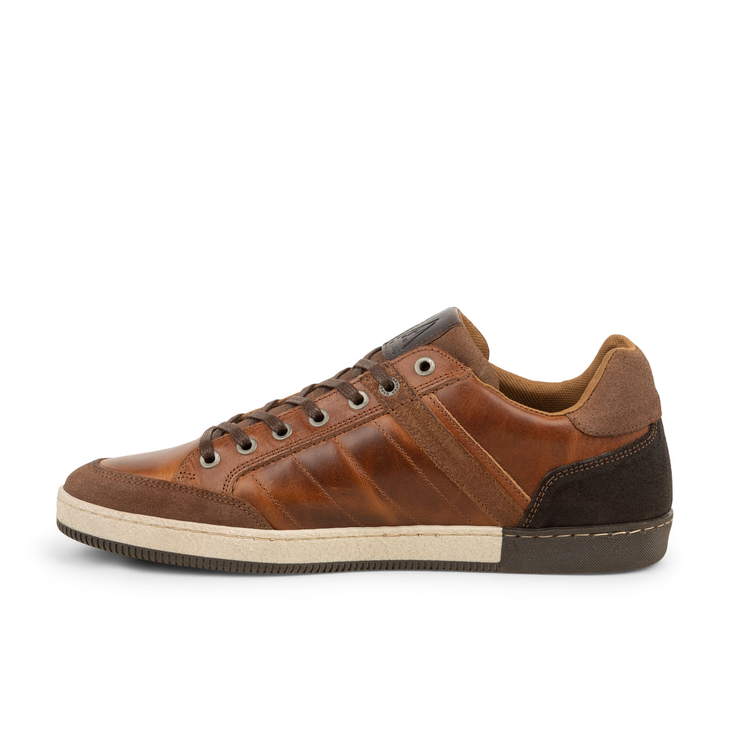 Baskets homme GAASTRA WILLIS