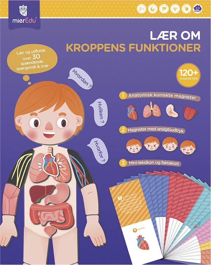 mierEdu mierEdu - Magnetisk legesæt - Lær om kroppens funktioner