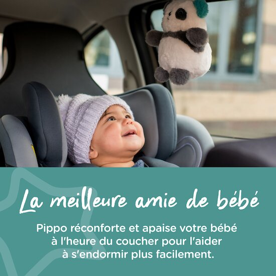 Peluche musicale de voyage Mini Grofriend   Pippo le Panda        de               Tommee Tippee