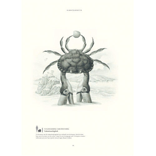 Uitgeverij lannoo terra ultima: de ontdekking van een onbekend continent
