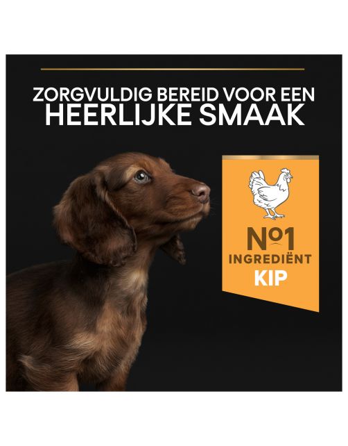 Pro Plan Dog Puppy Small & Mini Breed - Hondenvoer - Kip 3 kg