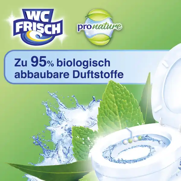 Kraft-Aktiv Pro Nature Duftspüler Minze & Eukalyptus
