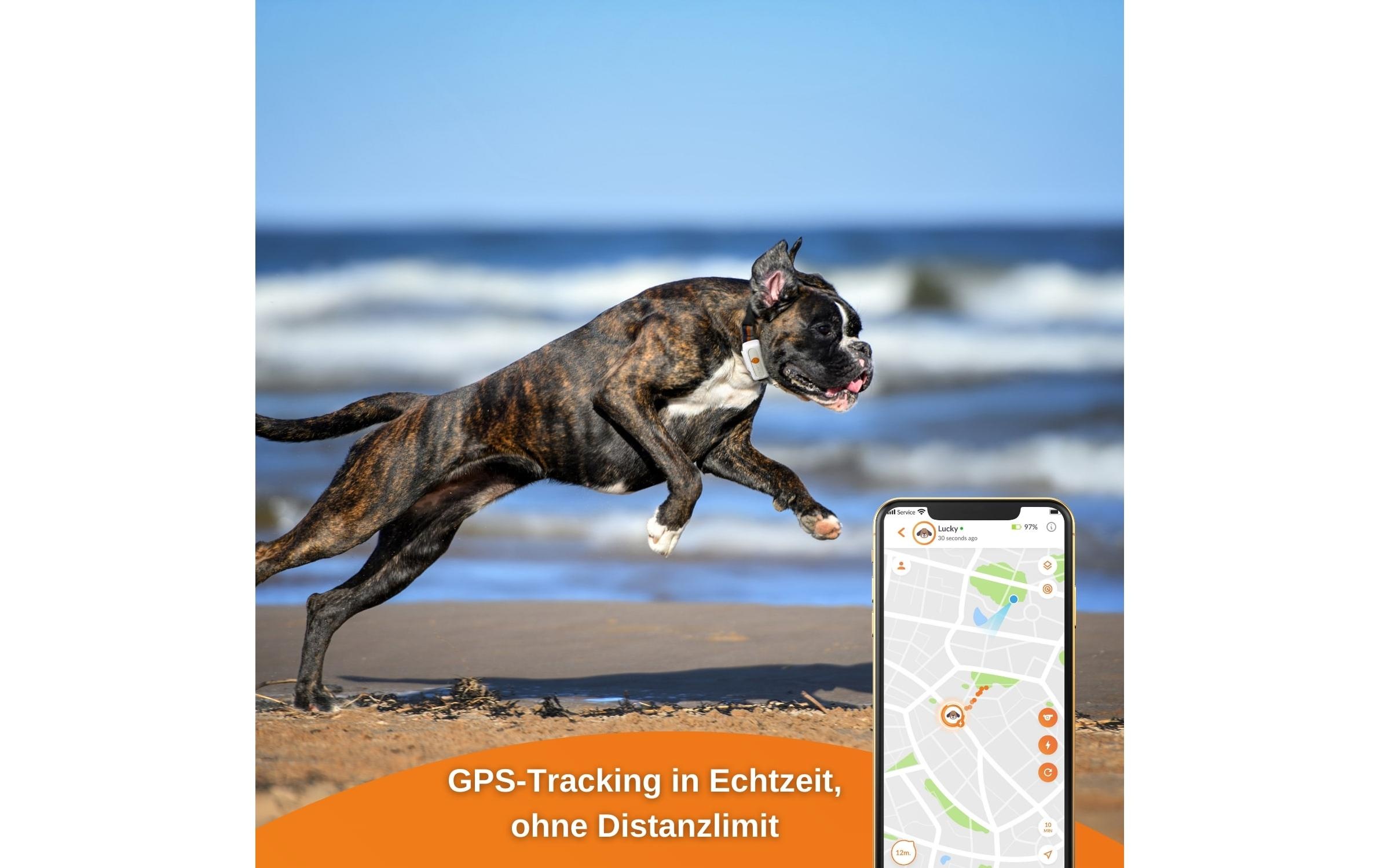 GPS-Tracker »Weenect XS für Hunde Weiss«