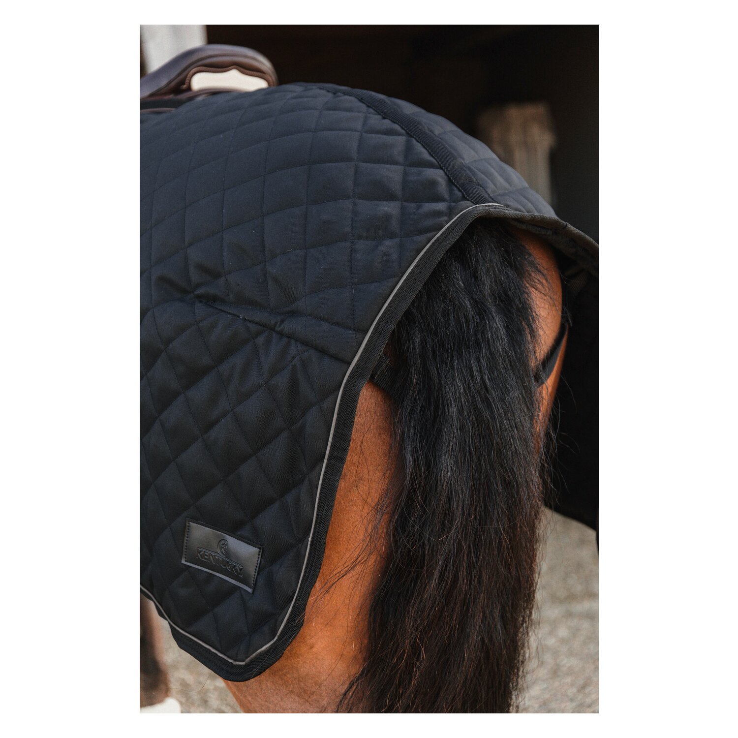 KENTUCKY Ausreitdecke 160 g  - black