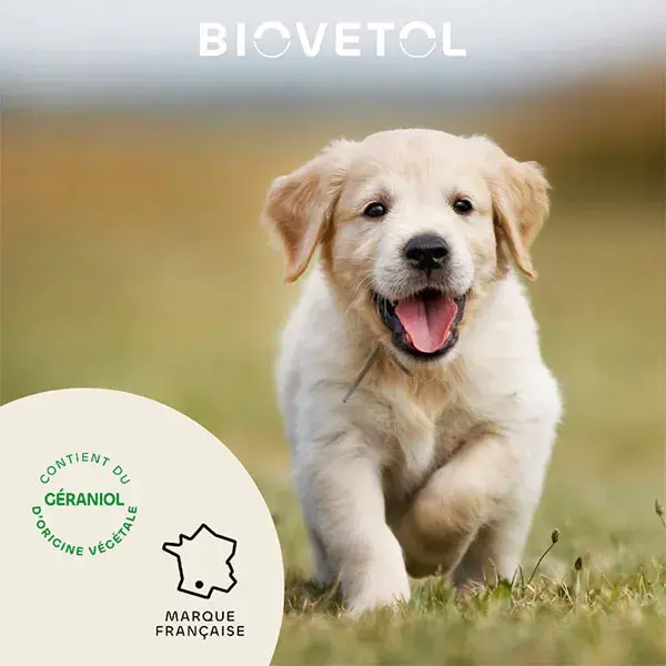 Biovetol - Antiparasitaire - Collier Petit Chien (38 cm marron) - x1
