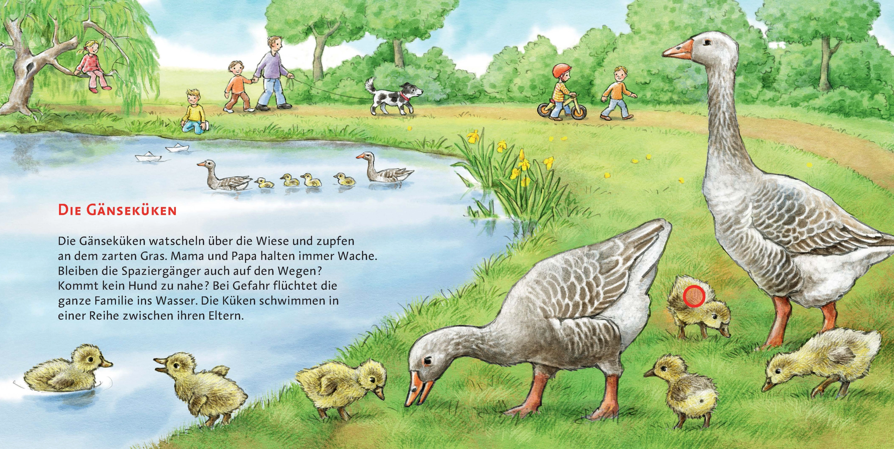 Die Tierkinder / Hör mal Bd.11