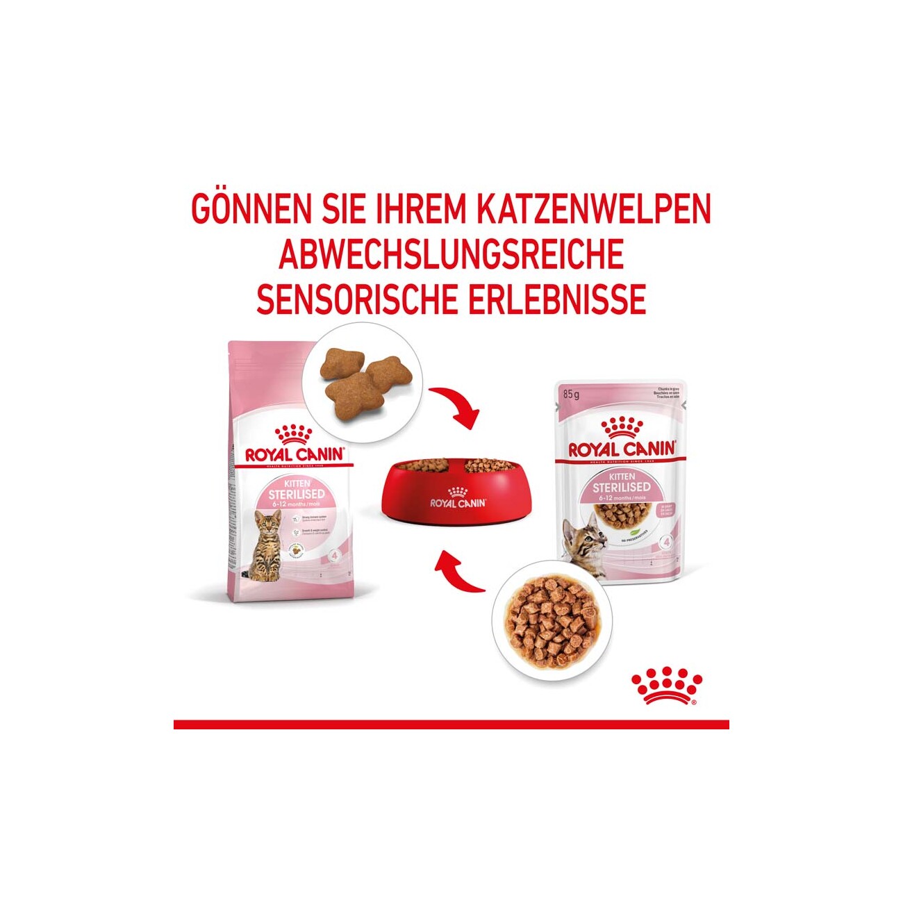 ROYAL CANIN KITTEN STERILISED in Soße 12 x 85g
