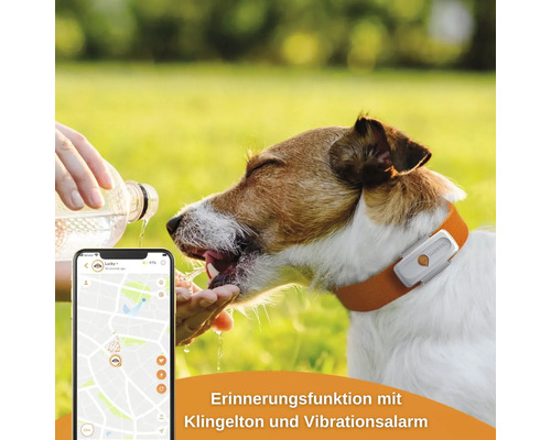 GPS tracker weenect voor honden, 28 g, 6 x 2,4 x 1,5 cm, wit