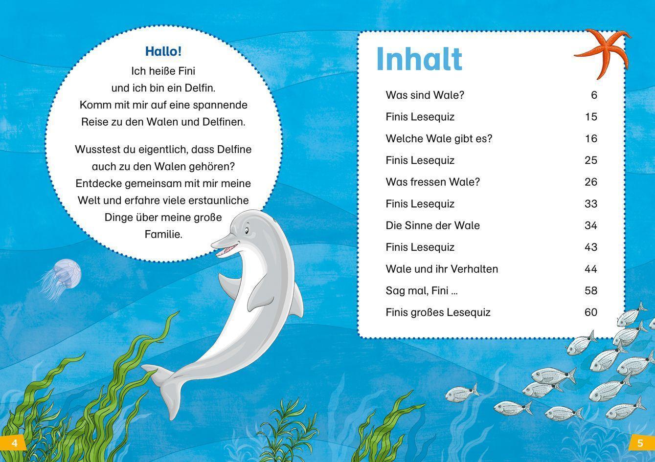 Wale und Delfine / WAS IST WAS Erstes Lesen Bd.1