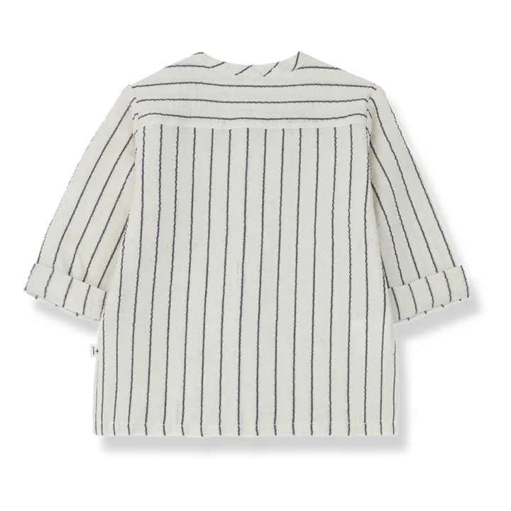 1+ in the family Chemise Rayée Maurici | Bleu