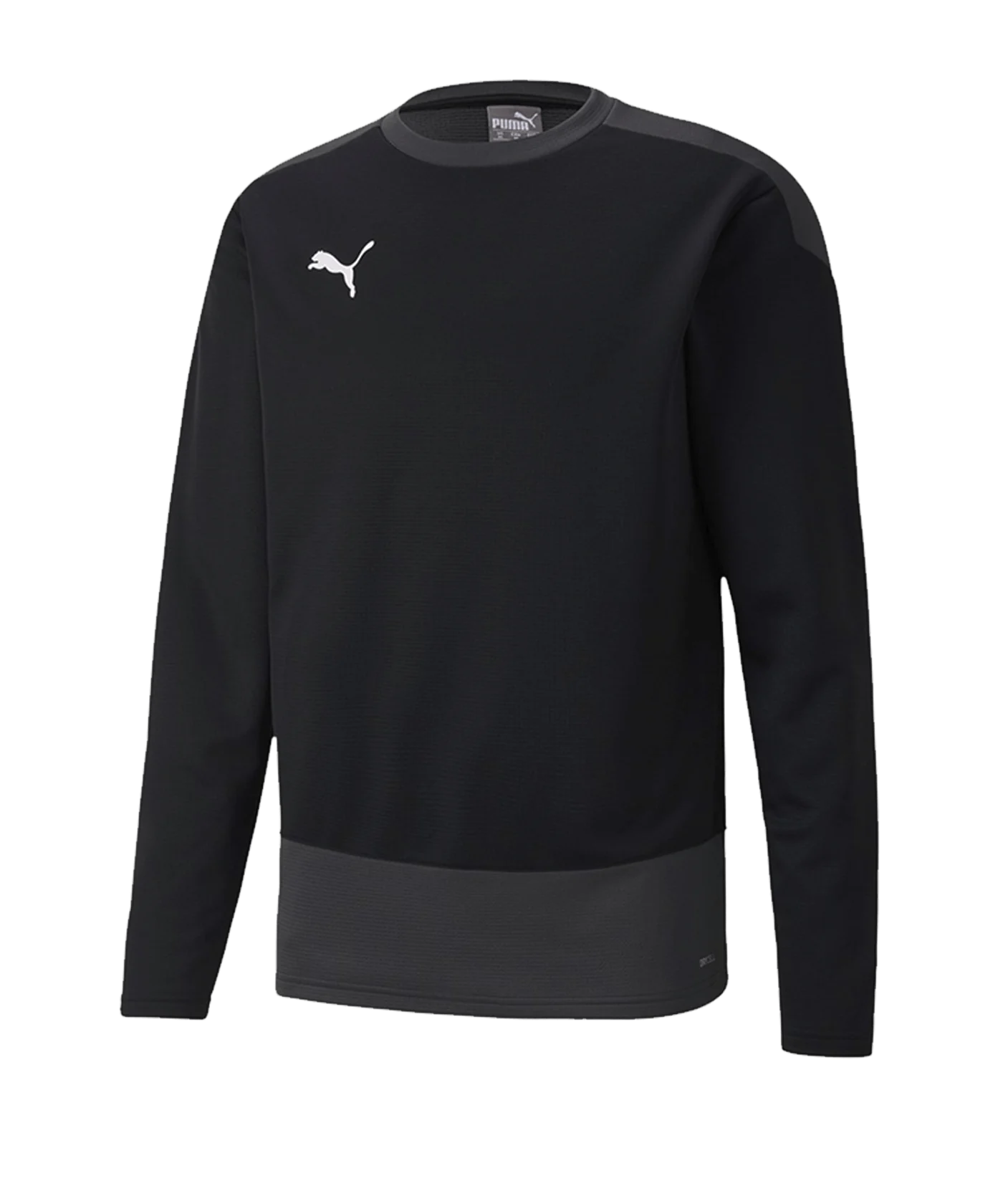 PUMA teamGOAL 23 Training Sweatshirt Schwarz F03