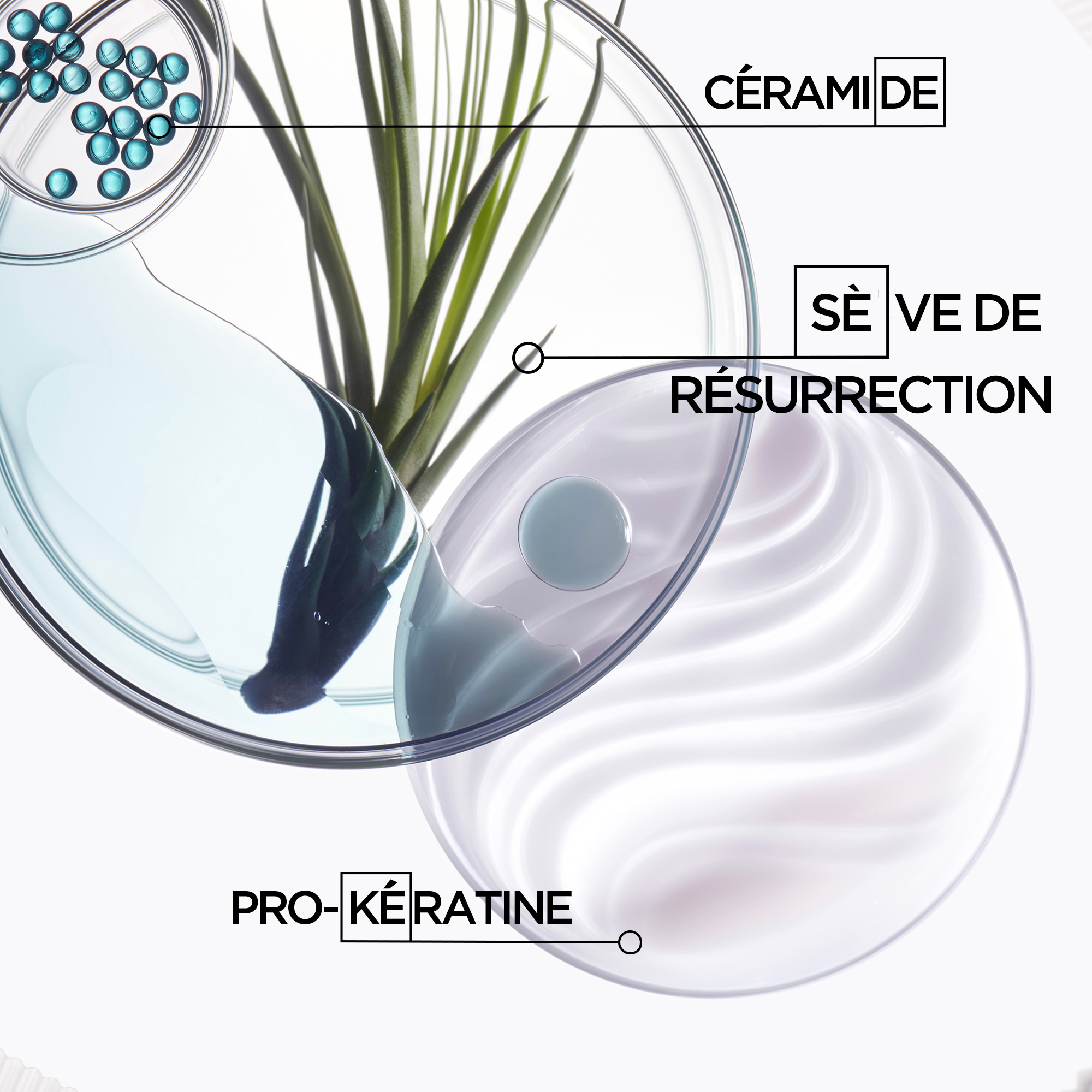 Masque Force Architecte Kérastase 200 ML