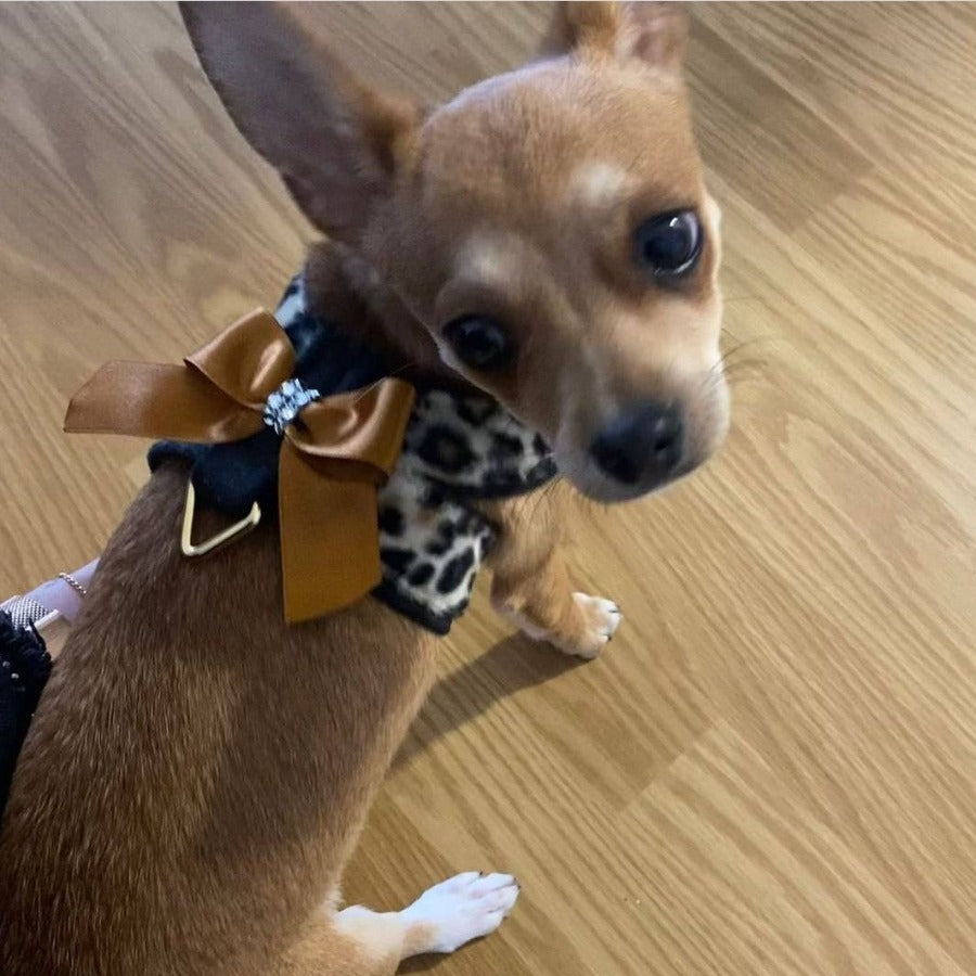 Coleira para cães Ideal Pets Shalisa preta