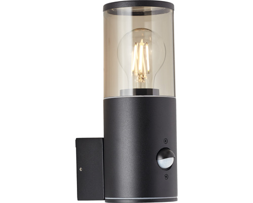 Sensorgestuurde buitenwandlamp, 1-lichts, Sergioro, zwart/gerookt glas
