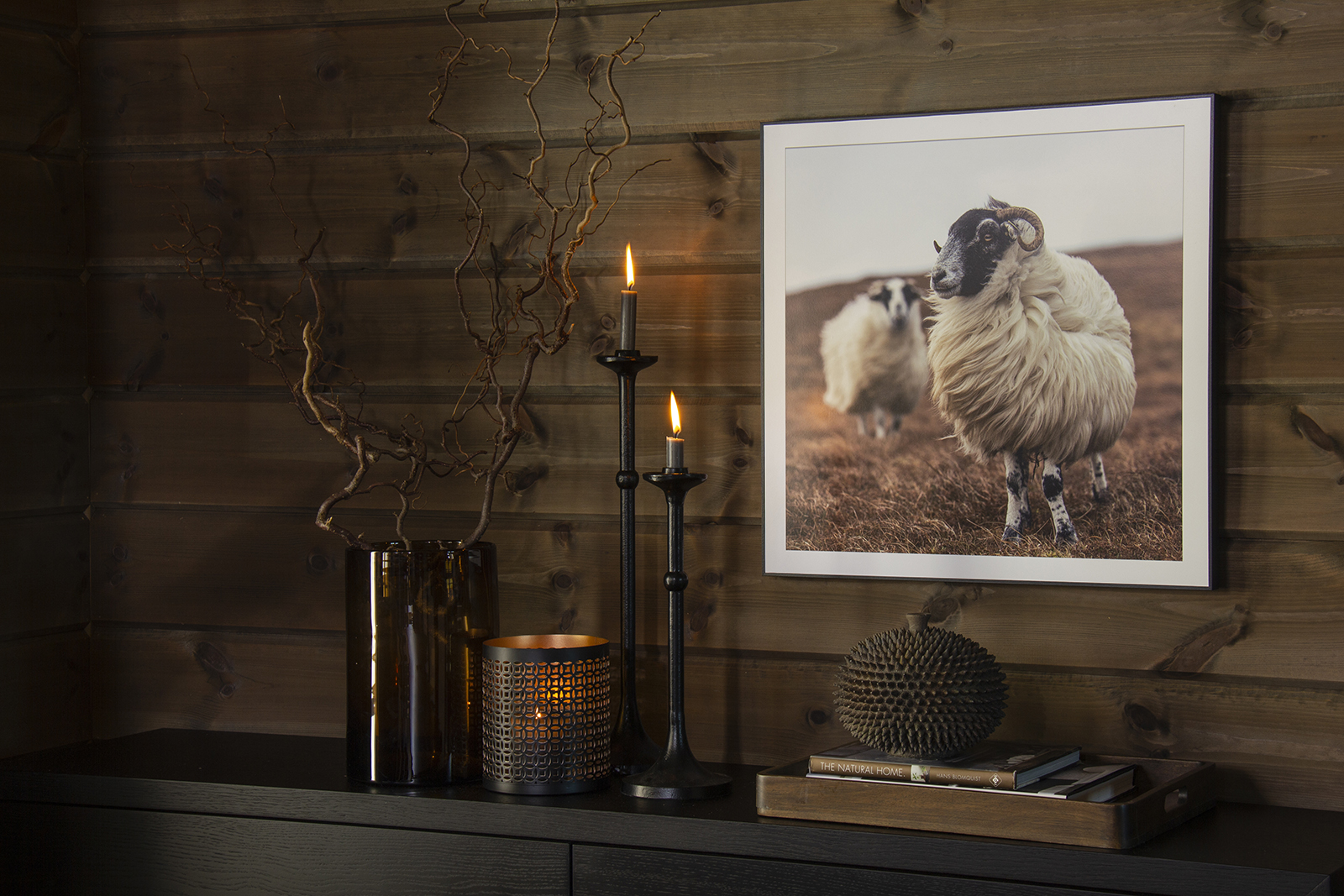 Sheeps bilde Fotoprint med sort ramme. 60x60 cm
