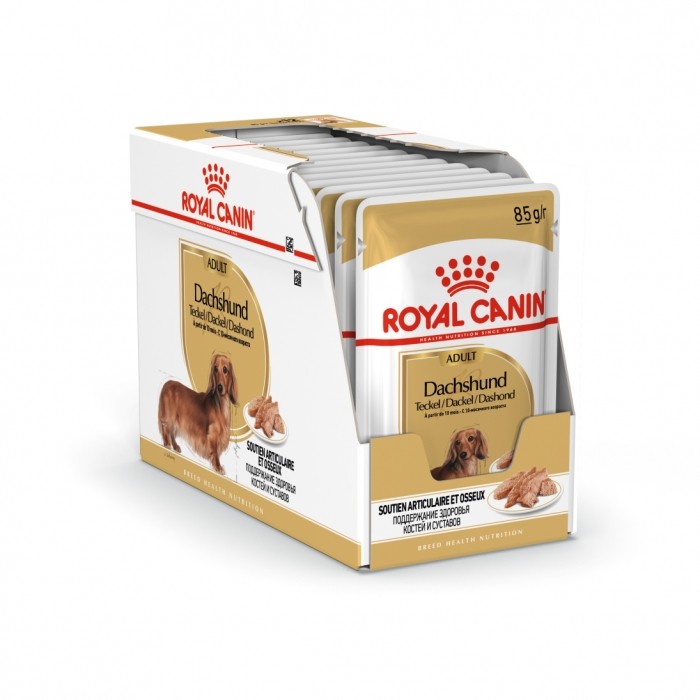 Royal Canin Teckel (Dachshund) - Pâtée pour chien