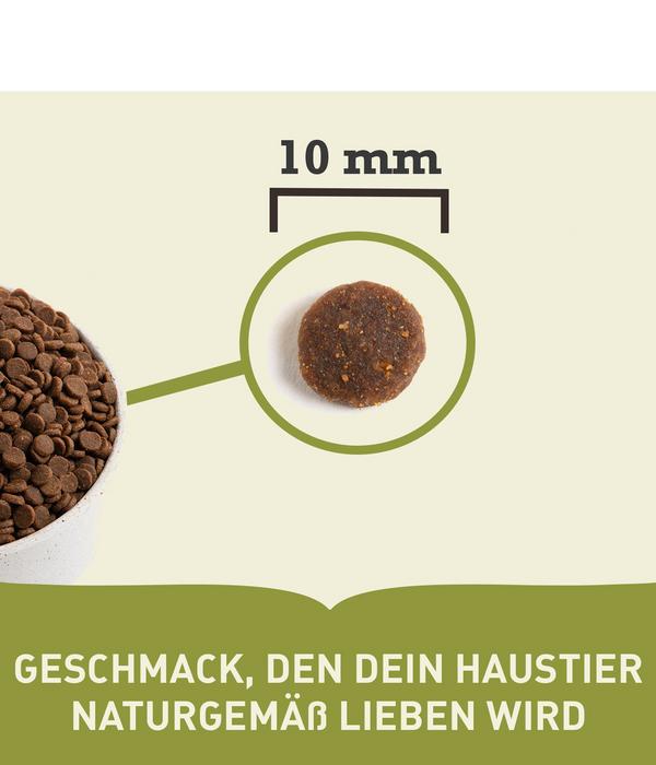 ACANA Trockenfutter für Katzen Regionals Cat
