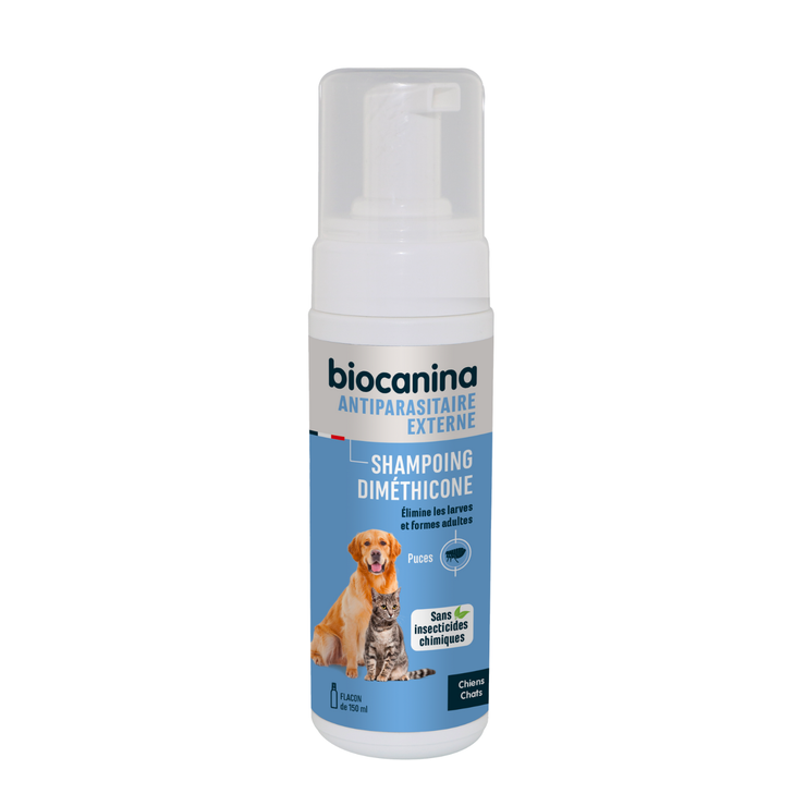 Shampoing Dimethicone