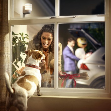 Philips Hue outdoor wandlamp Tuar RVS