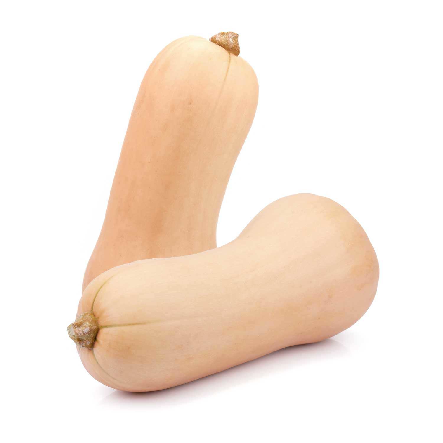 Courge butternut bio