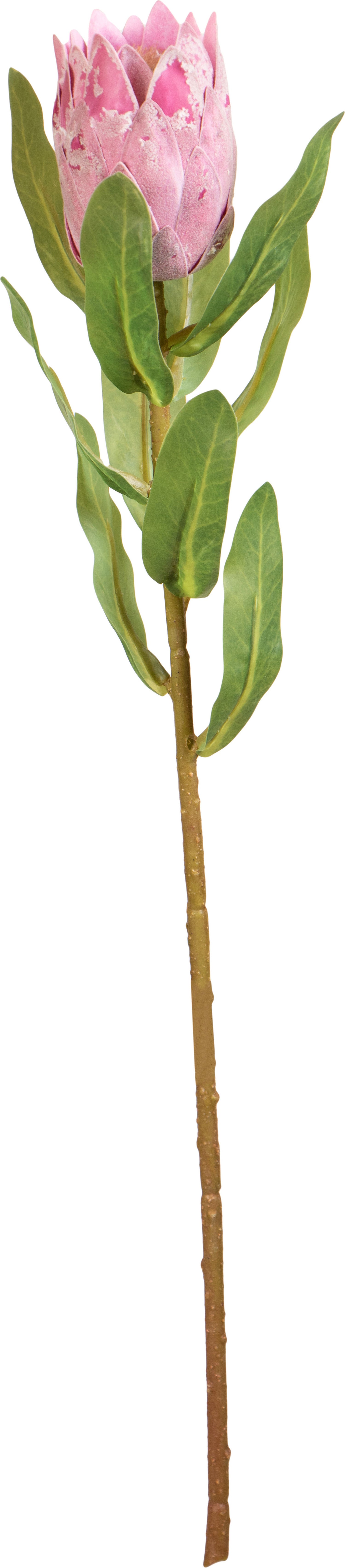 Louis Maes kunstbloem Protea roze 46 cm