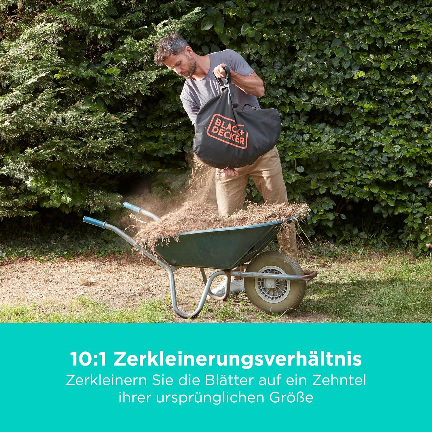 BLACK+DECKER 36V kabellos Laubbläser-Staubsauger und Laubhäcksler, mit 45-Liter-Auffangbeutel und 2,5-Ah-Lithiumbatterie, BCBLV3625L1-QW