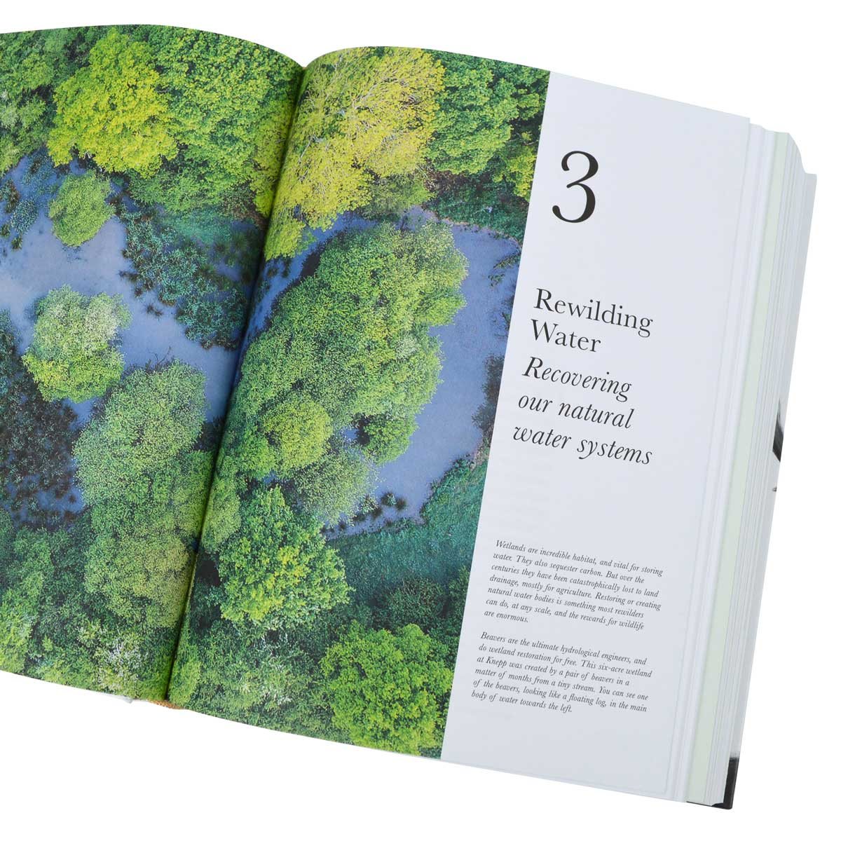 The Book of Wilding: A Practical Guide to Rewilding, Big and Small (Hardback)