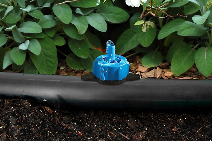 Goutteur auto régulant 8 L/h noir (10 pièces)