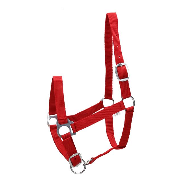 Halfter Barato Basic Rood
