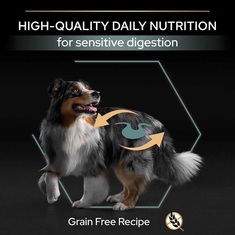 PURINA PRO PLAN Medium & Large Adult Sensitive Digestion sans céréales