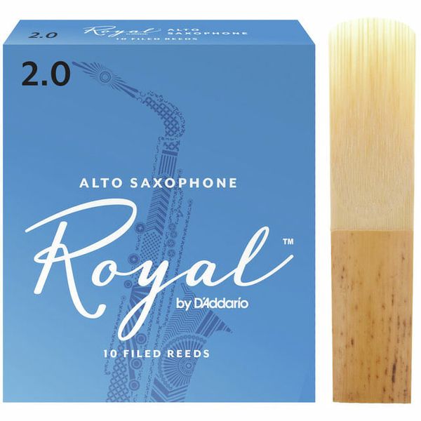 Daddario Woodwinds Royal Alto Sax 2