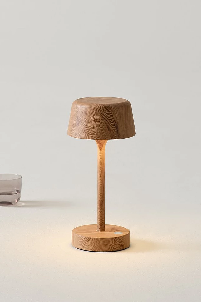 LEDA bærbar lampe