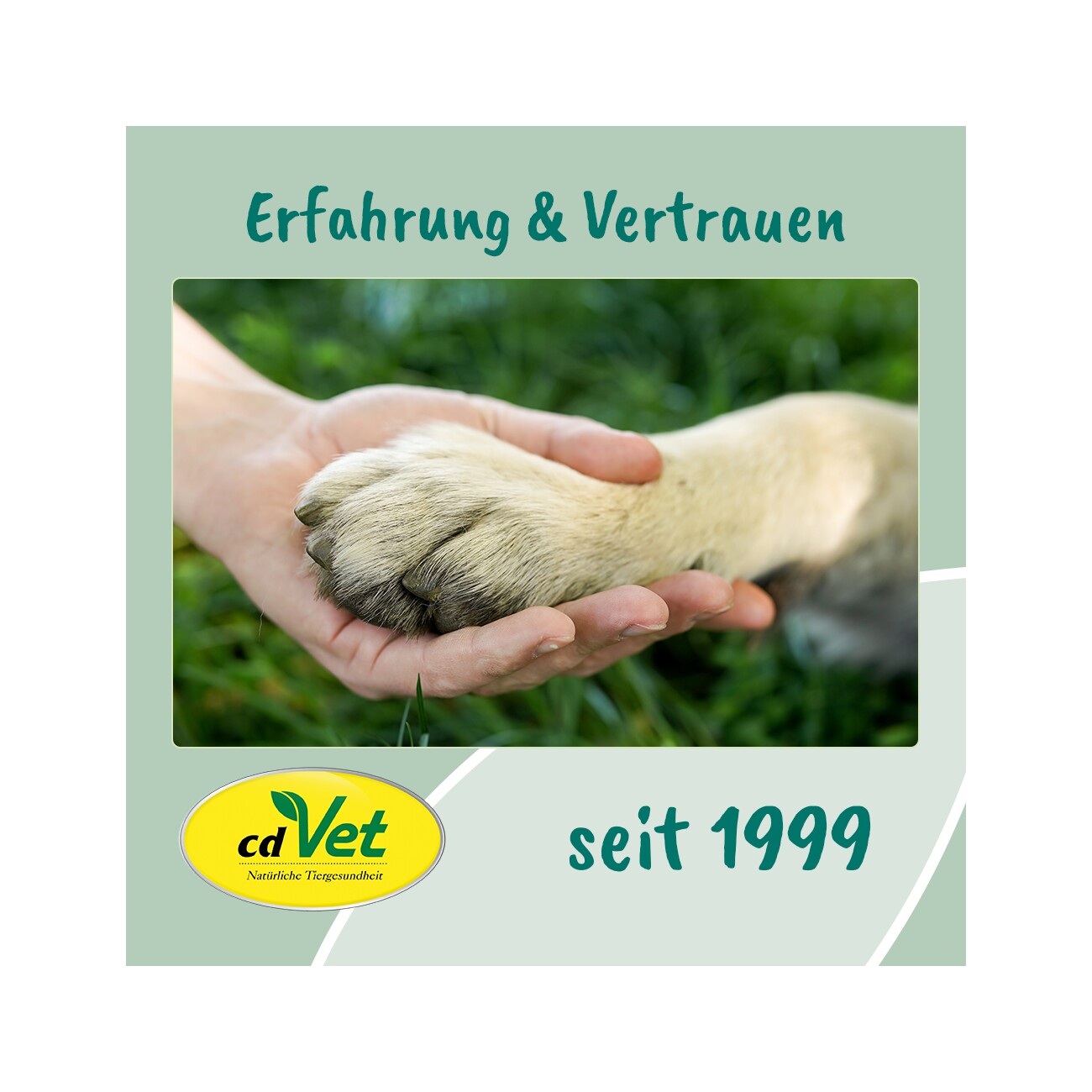 cdVet VeaVet Lebermoos Ohrenspühlung