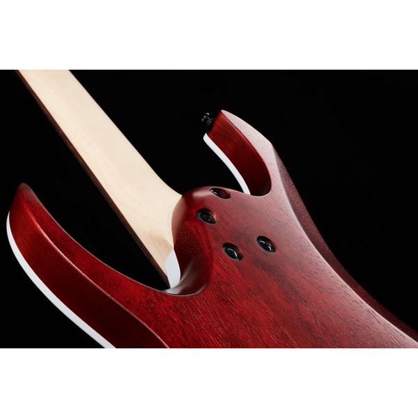 Ibanez RGA42FM-TGF