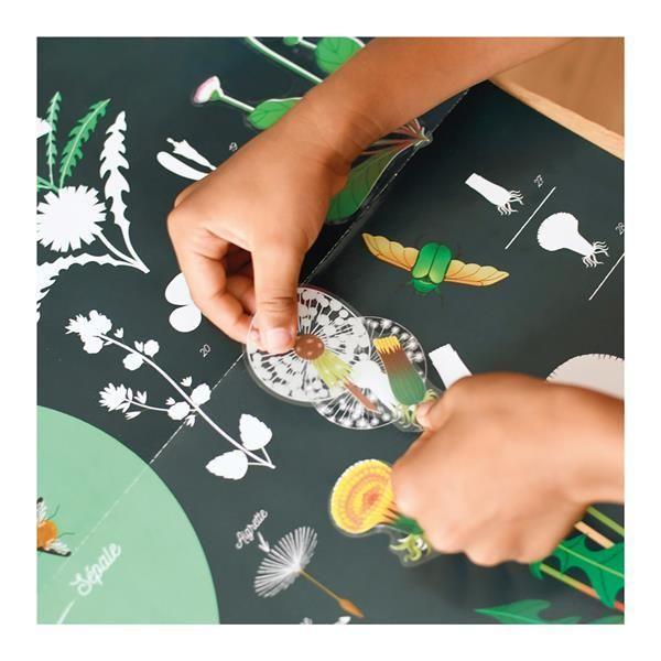 POPPIK Sticker Lernposter Botanik